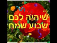 רחלי מצלאוי