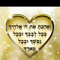כנרת מור