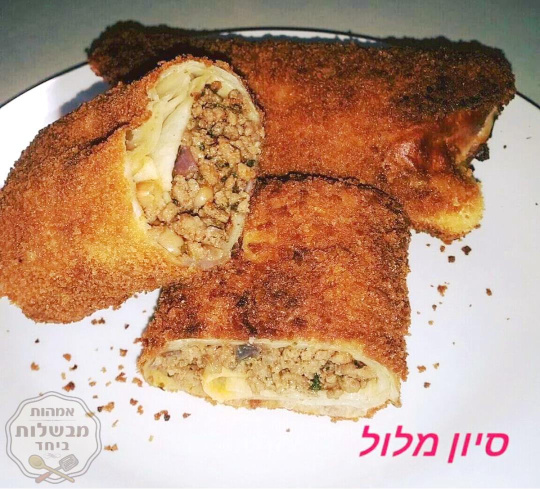 טורטיה ממולאת בבשר טחון ושעועית אדומה עונגגגג