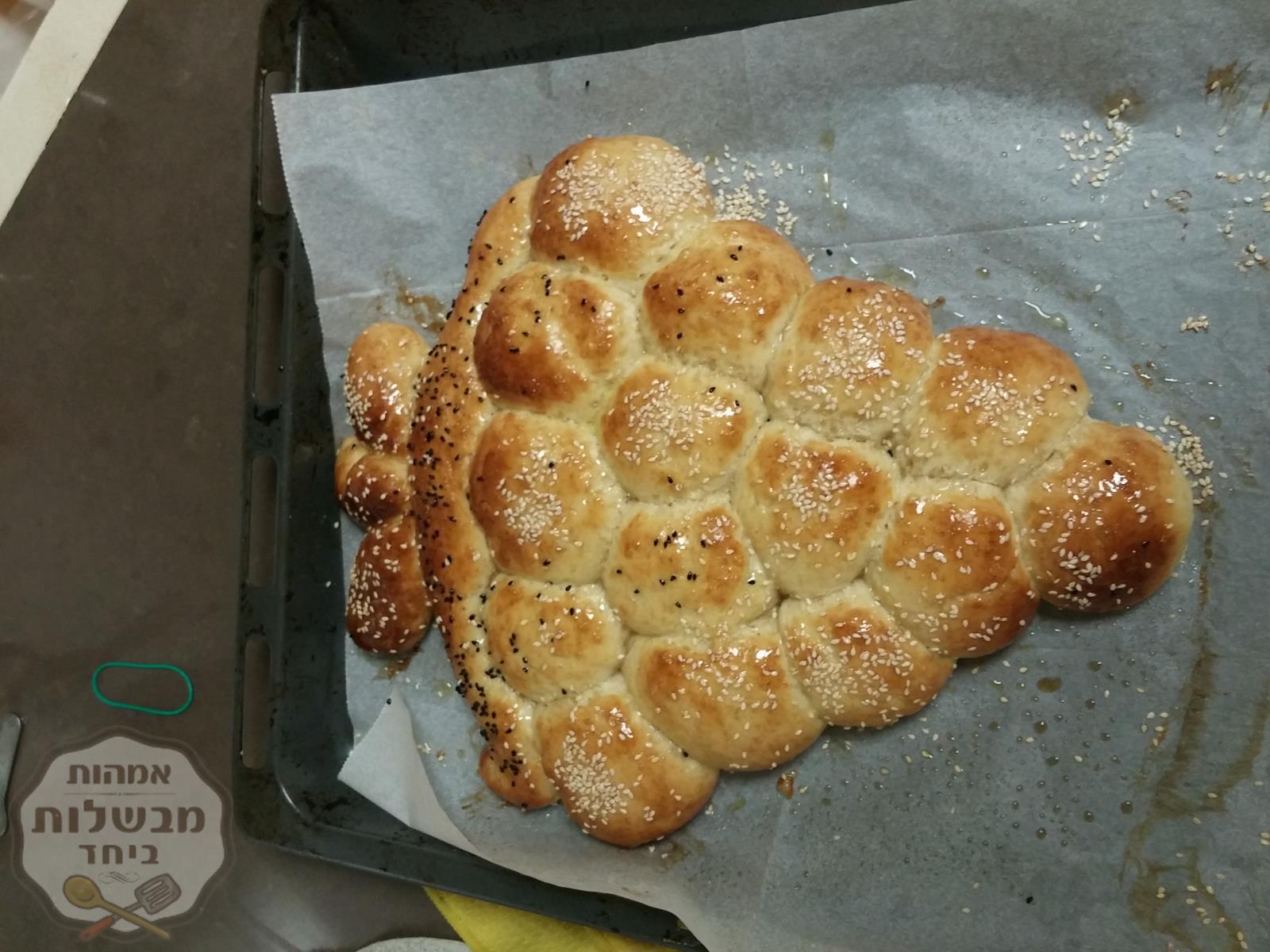 חלה בצורת גפן