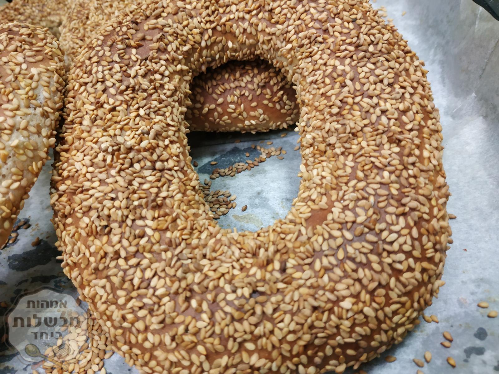 בייגלה 