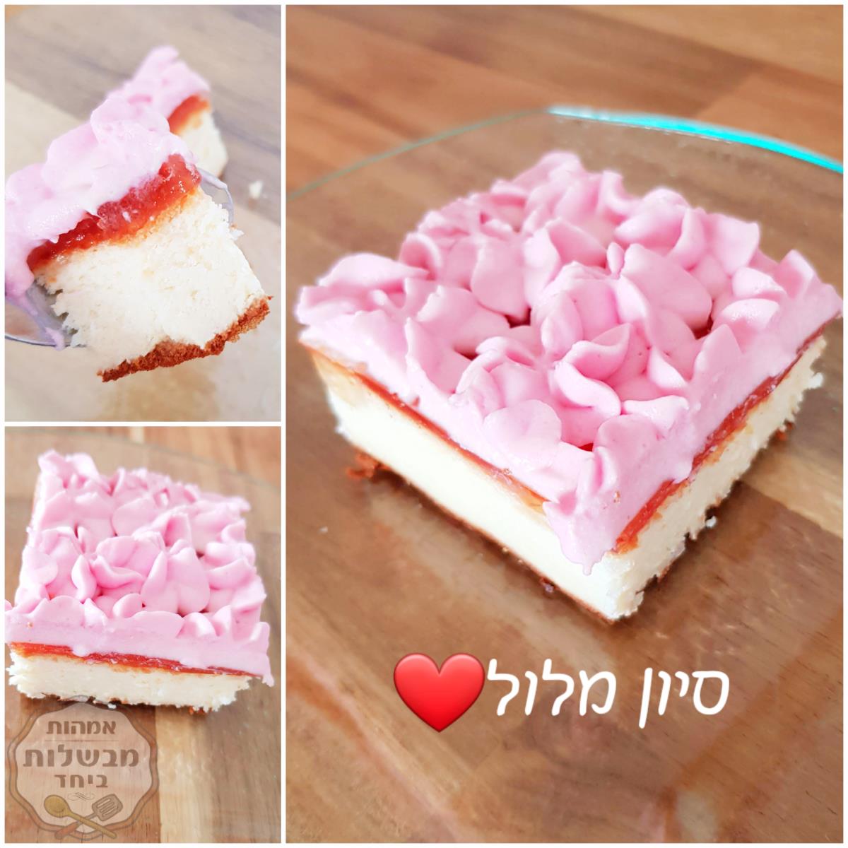 נצ