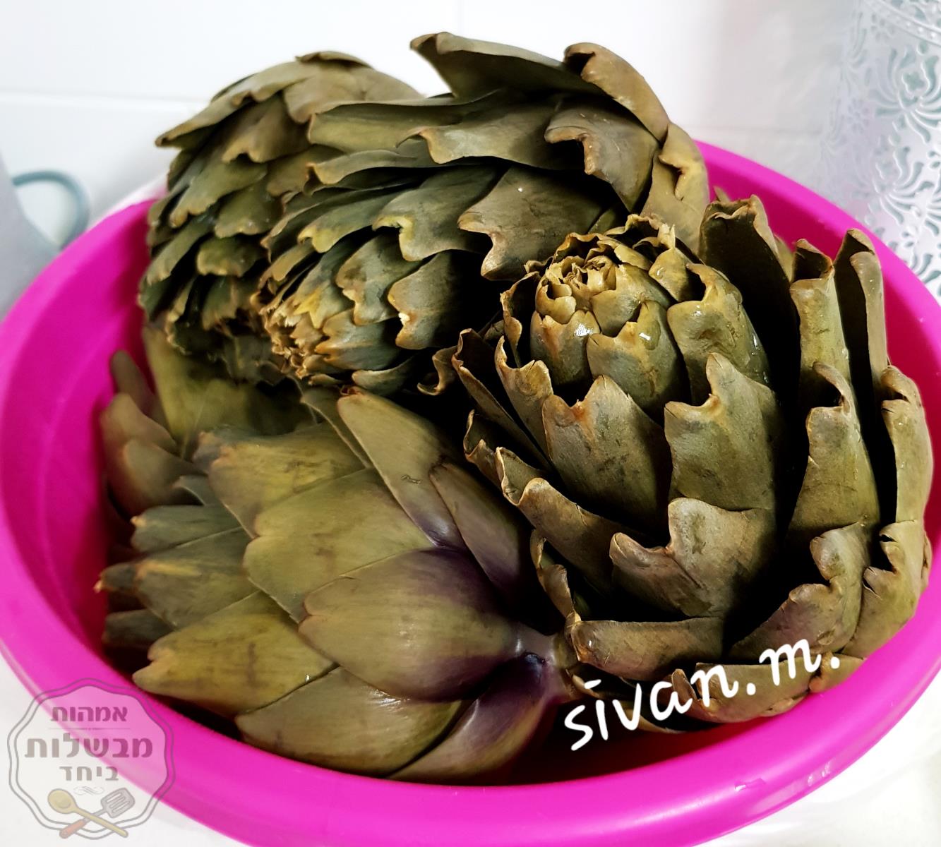 עי 