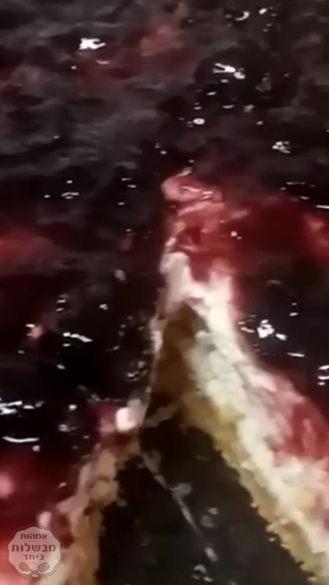 עוגת גבינה קרה עם מעדן דובדבנים שחורים