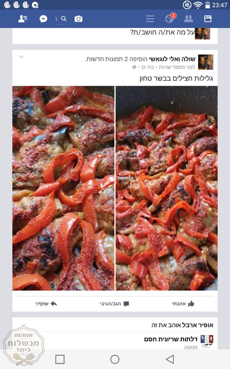 גלילות חצילים עם בשר טחון