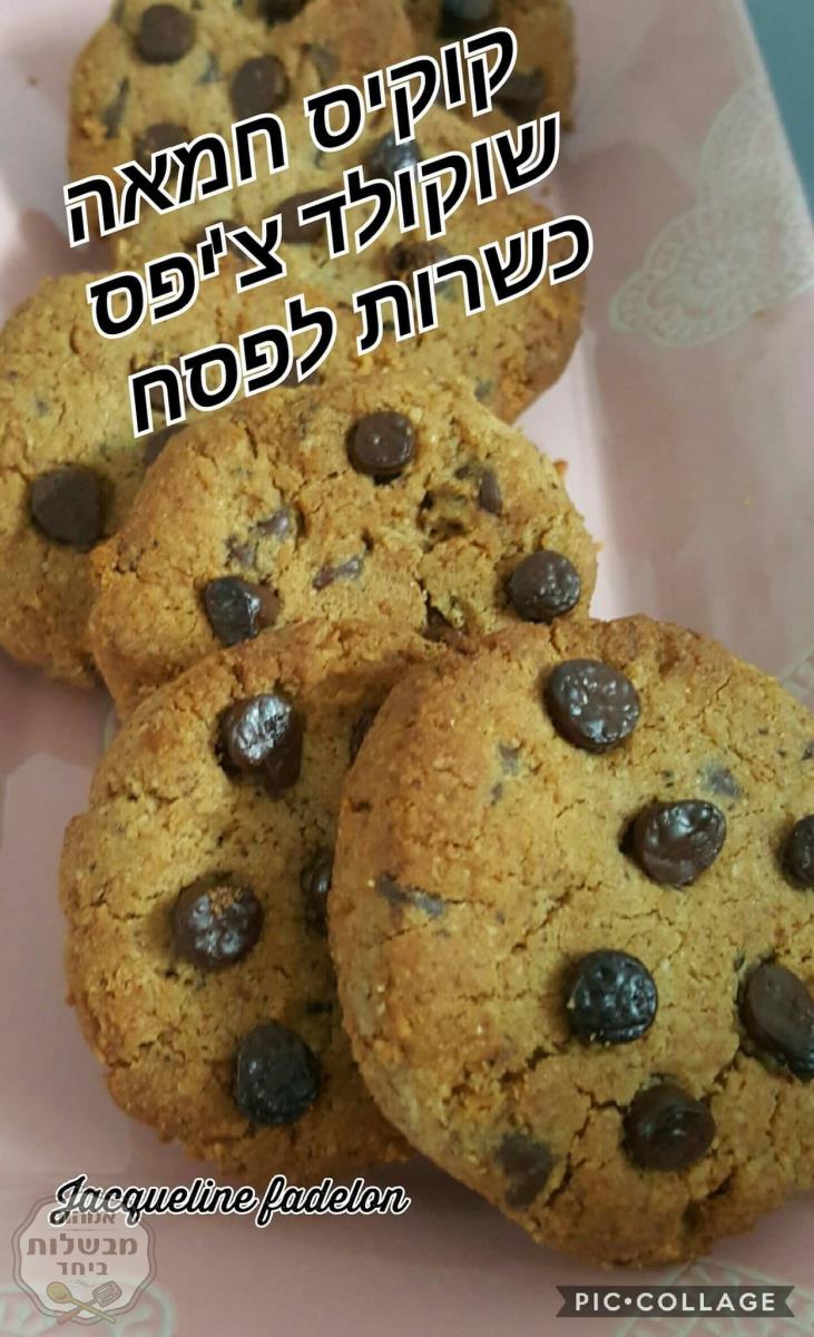 קוקיס חמאה שוקולד צ'יפס כשר לפסח