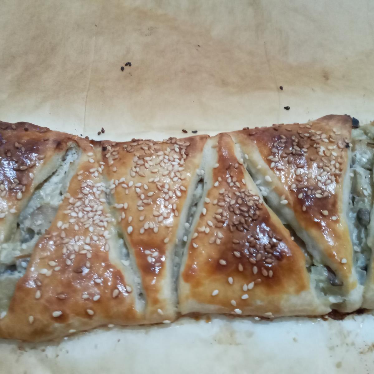בורקס פטריות חלבי