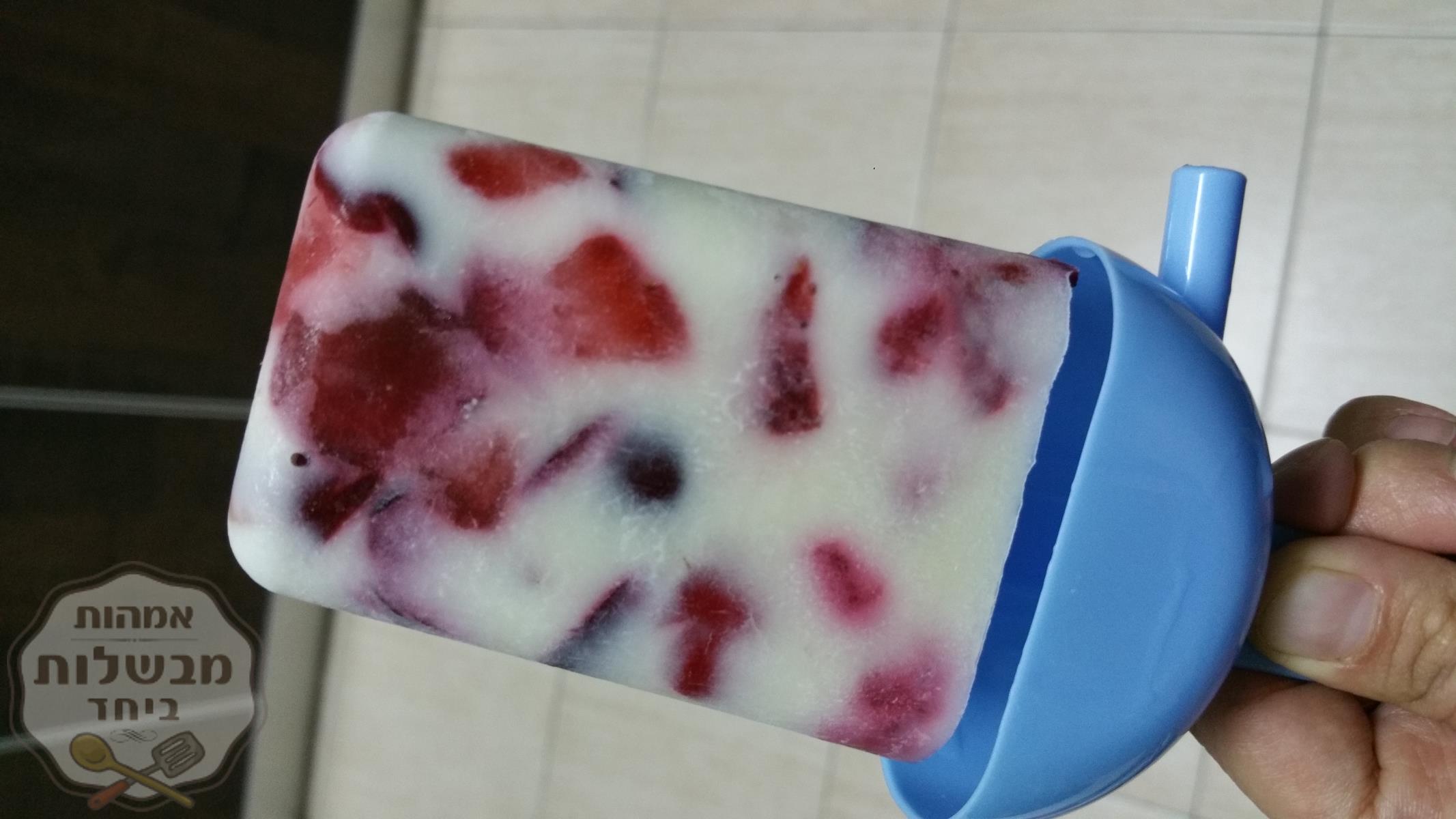 ארטיק מחומרים טבעיים