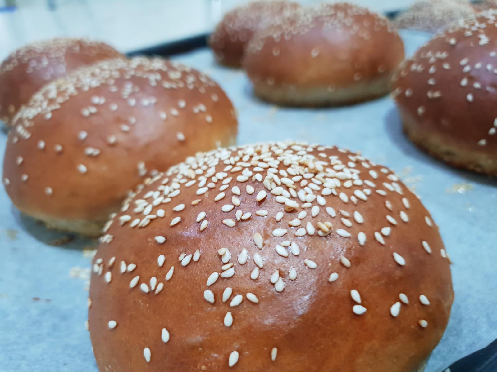 לחמניות כוסמין בהיר 80%