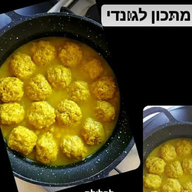 גונדי פרסי 