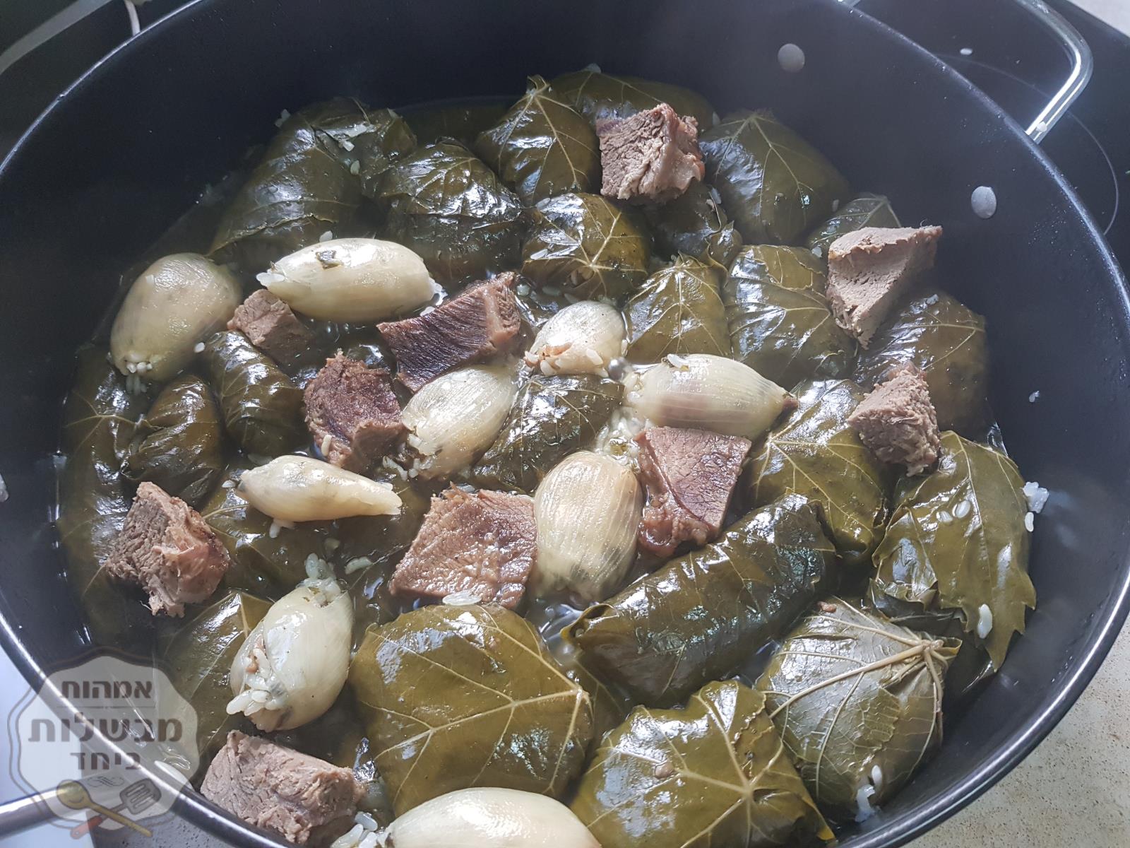 יפרח כורדי