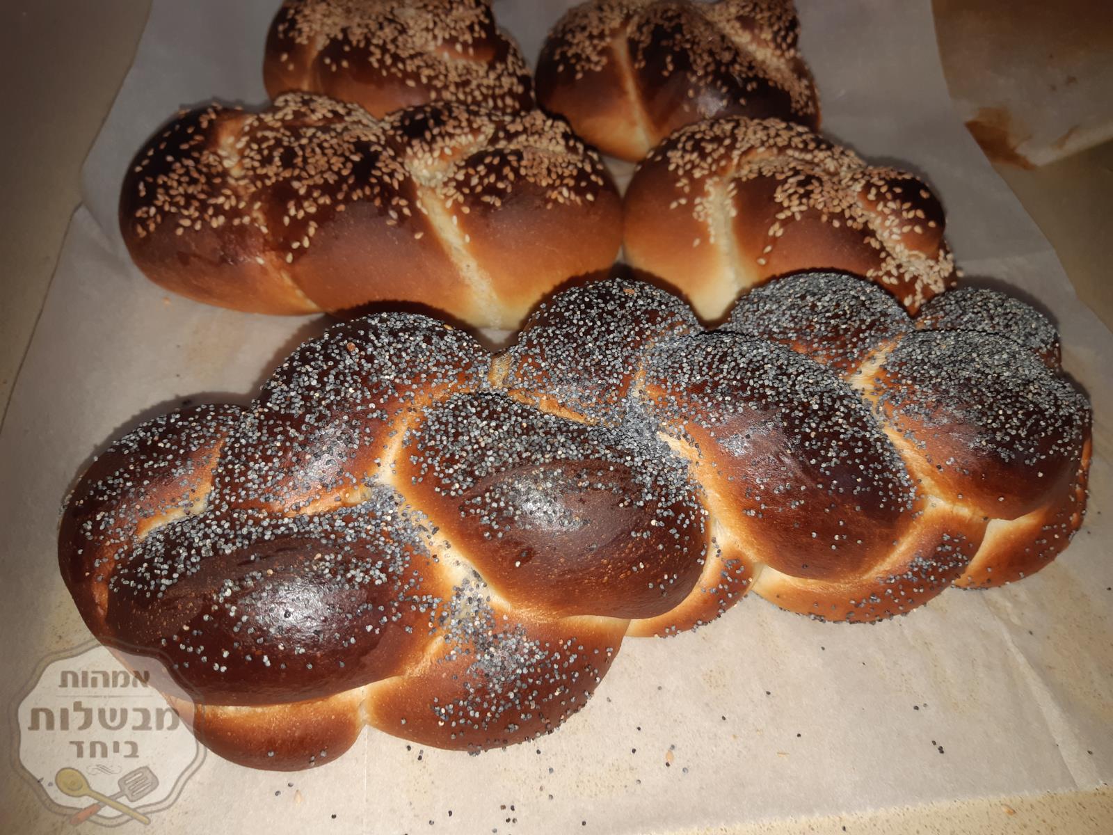 חלות לשבת