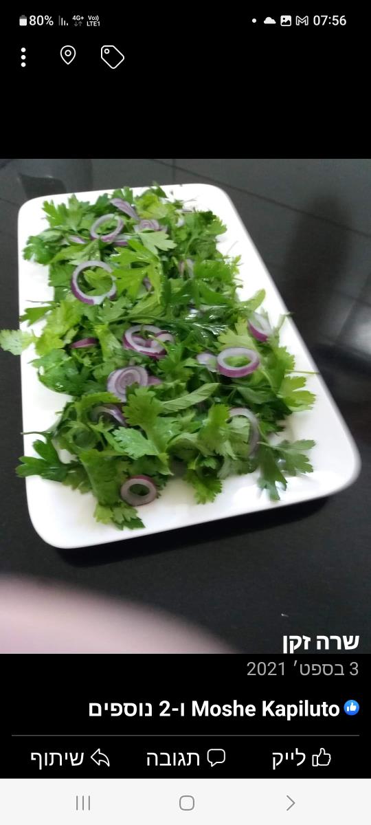 סלט עלים