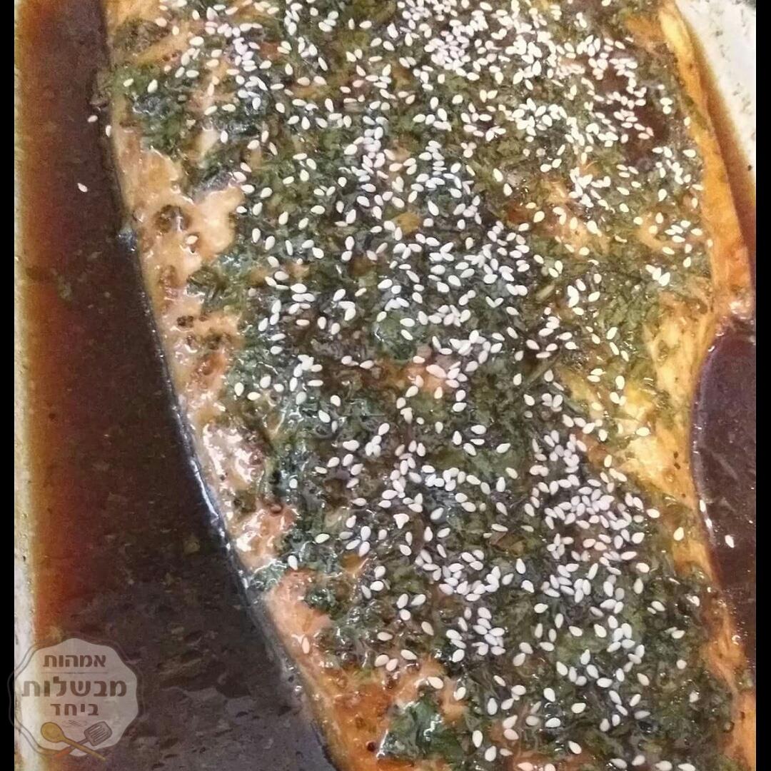 דג סלומון מלכותי 