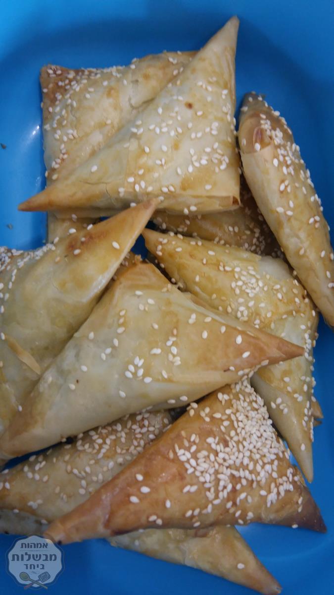 בורקס פילו במילוי בשר עם חצילים