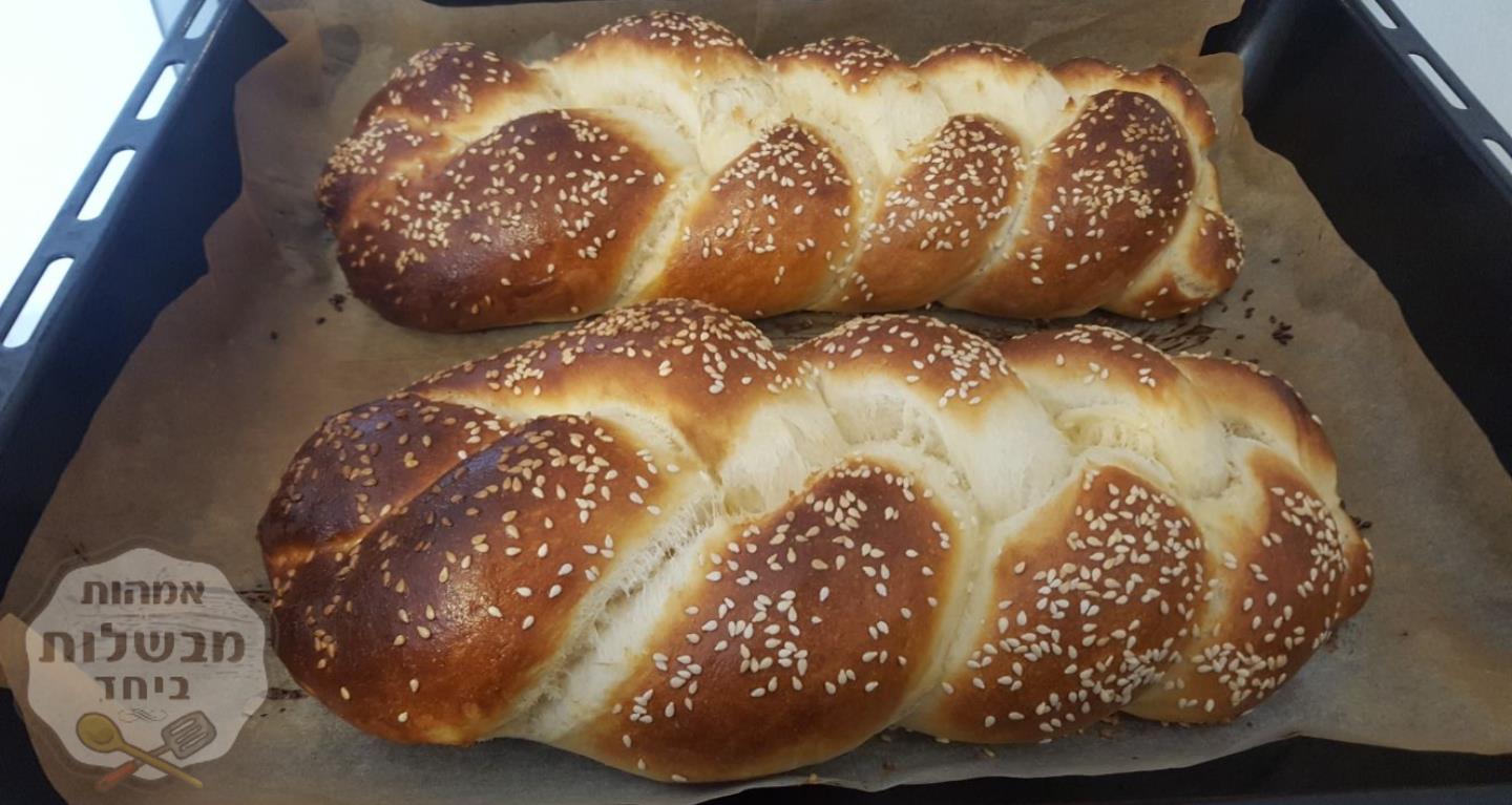 חלות לשבת