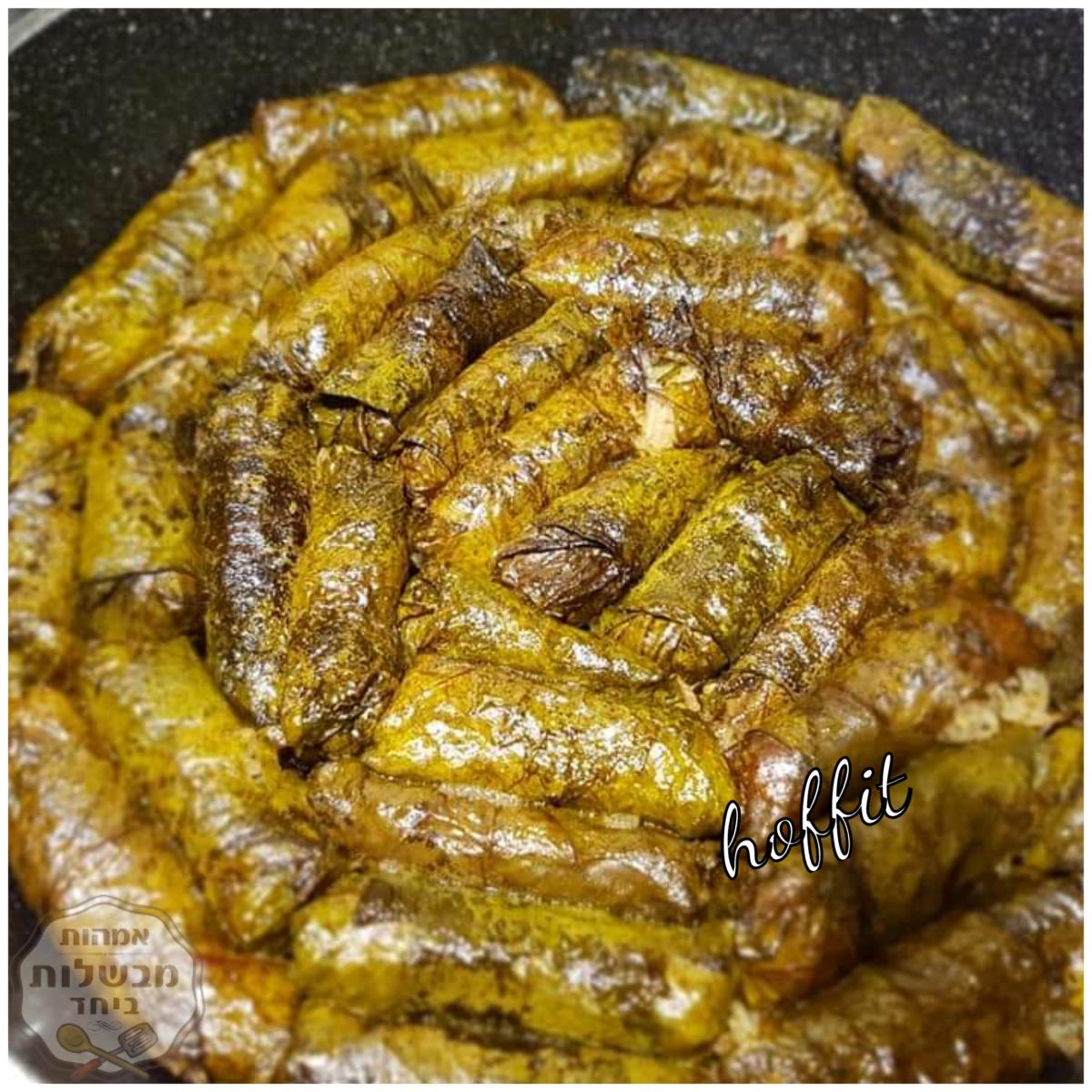 עלי גפן 