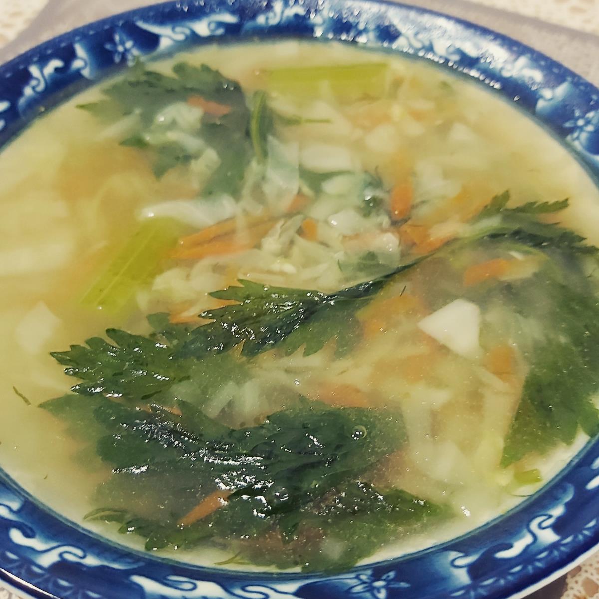 מרק ירקות פרווה