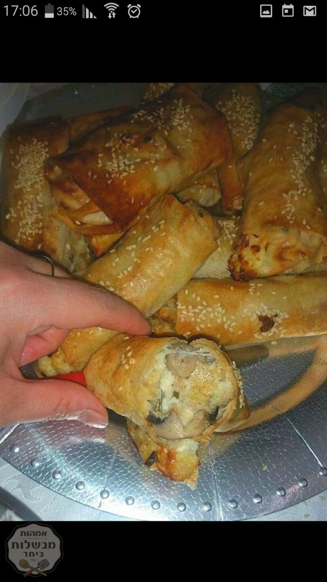 עלי סיגר ממולאים בגבינות וחציל קלוי 
