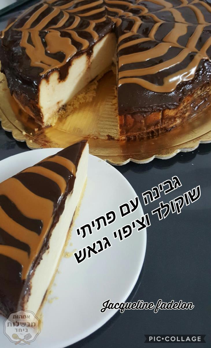 עוגת גבינה עם פתיתי שוקולד וציפוי גנאש שוקולד מריר 