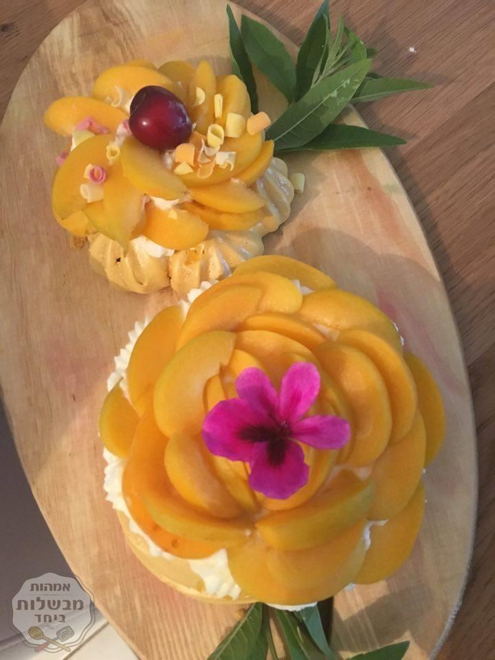 פבלובה  משמש 