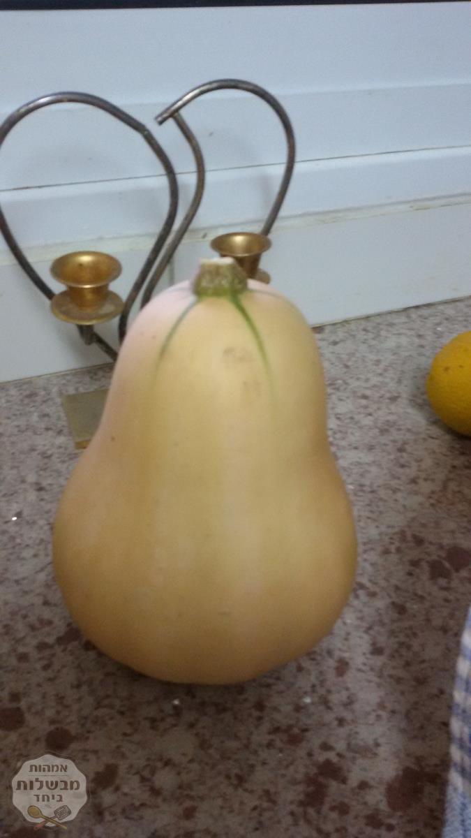 סלט קינואה כתום