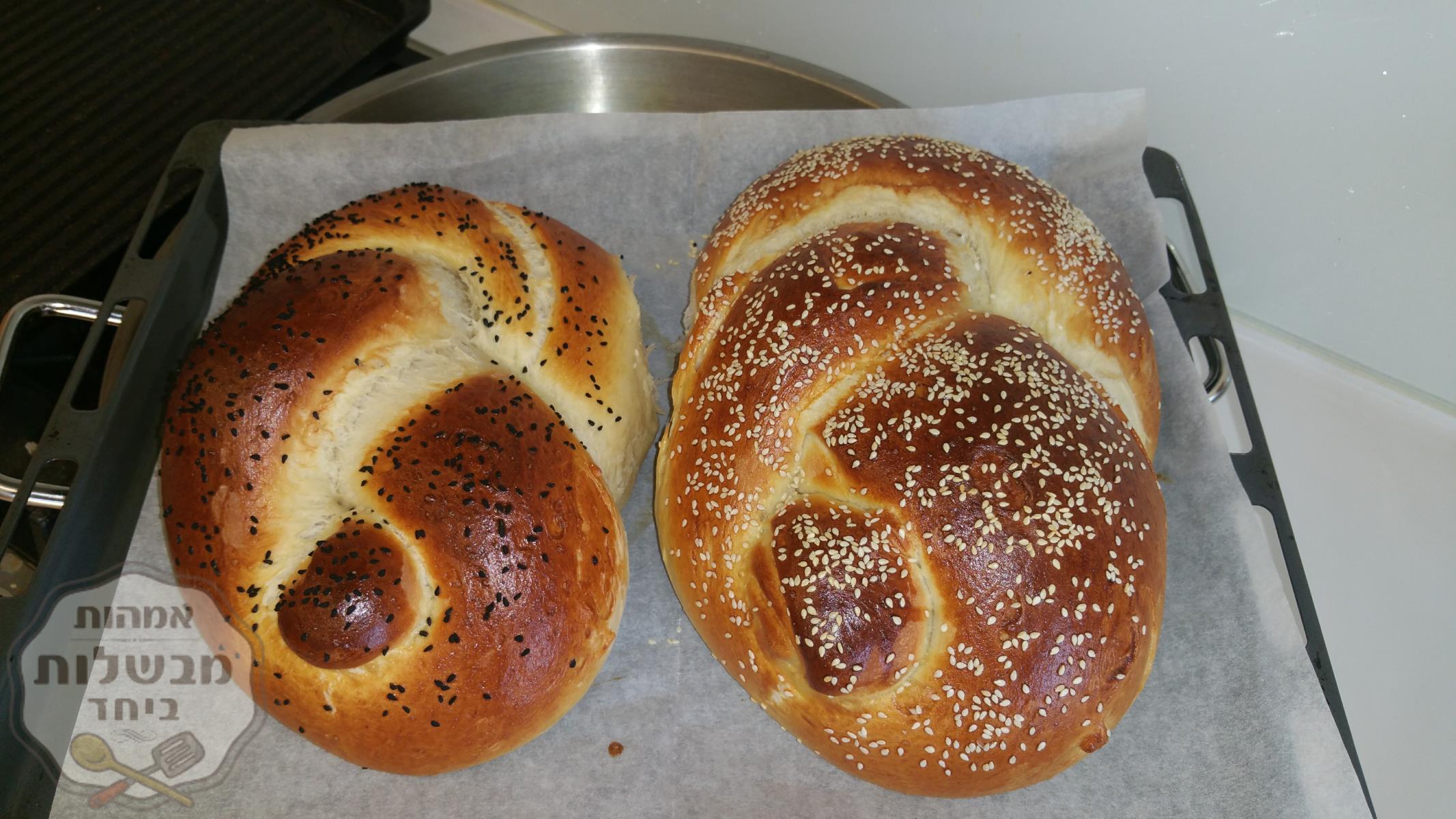 חלות לשבת