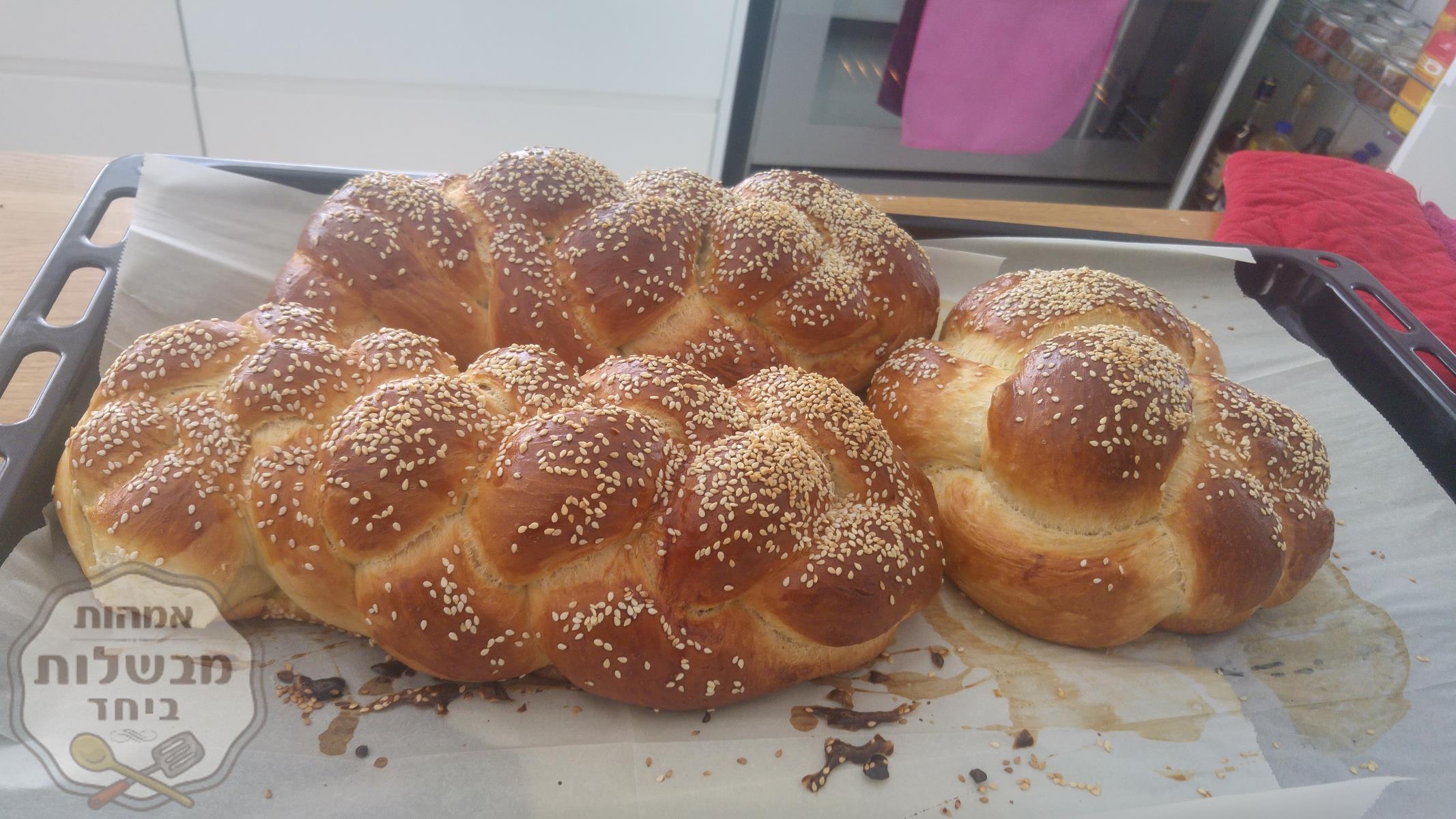 חלות לשבת