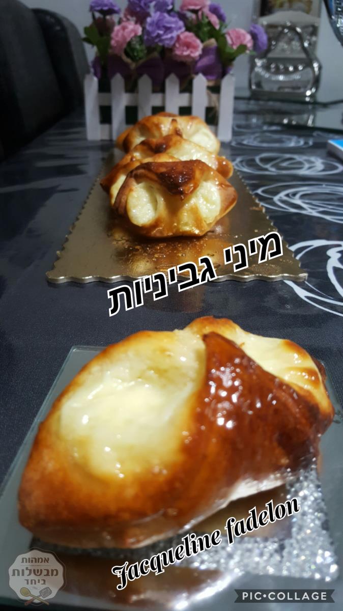 מיני גביניות 