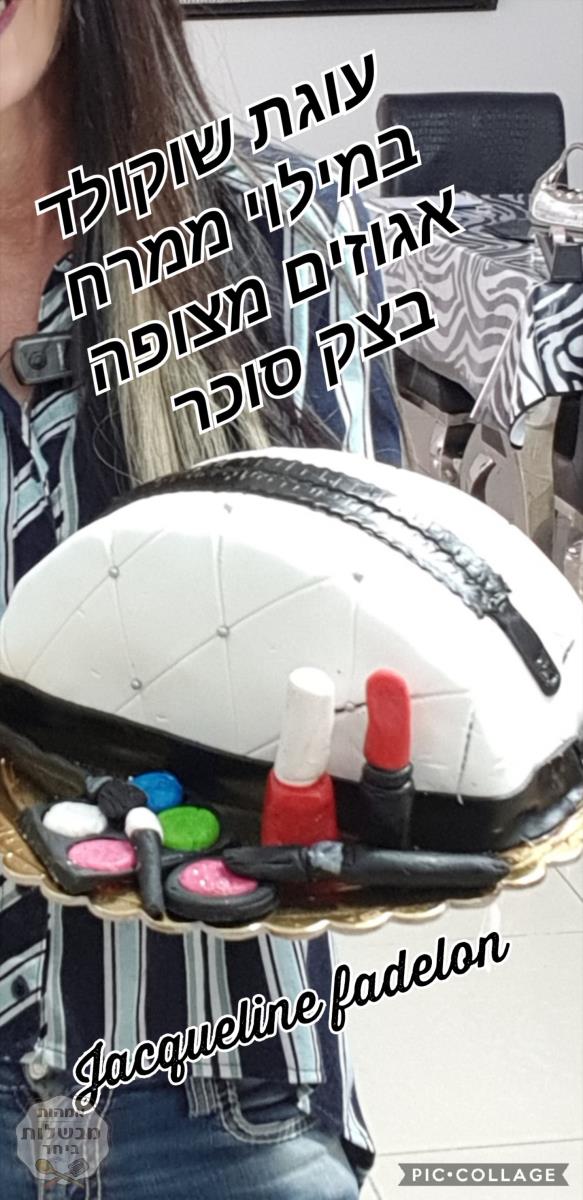 עוגת שוקולד כשרה לפסח בצורת תיק במילוי ממרח שוקולד אגוזים ובציפוי בצק סוכר