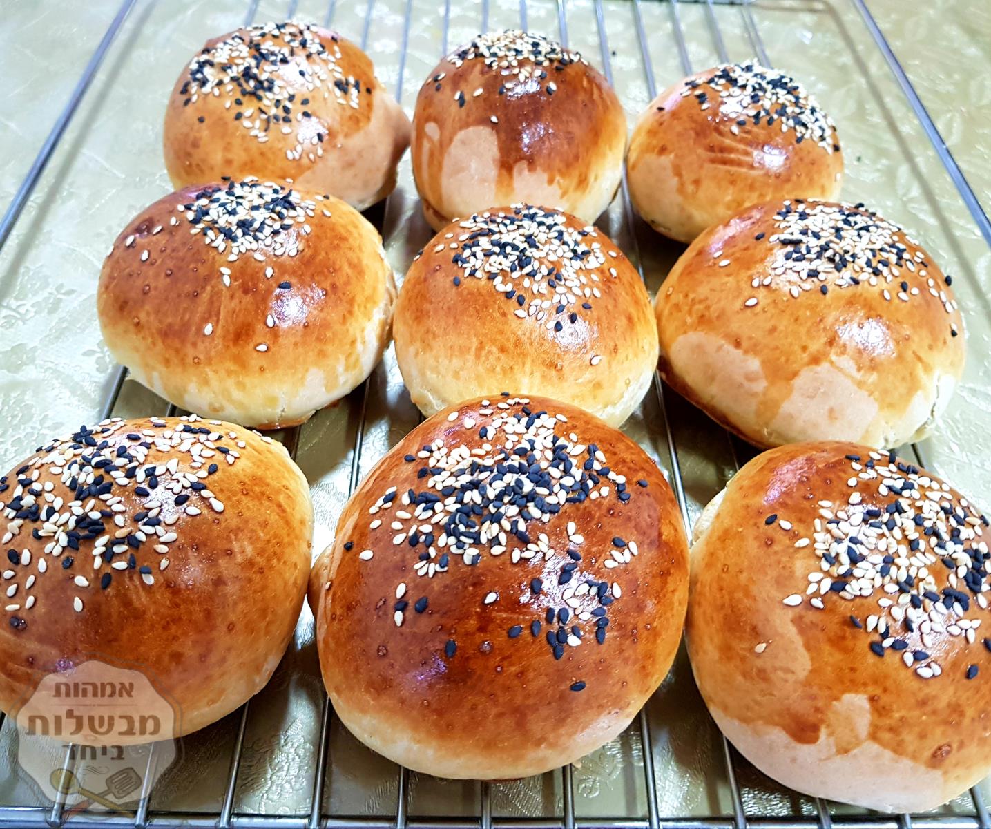 לחמניות המבורגר 