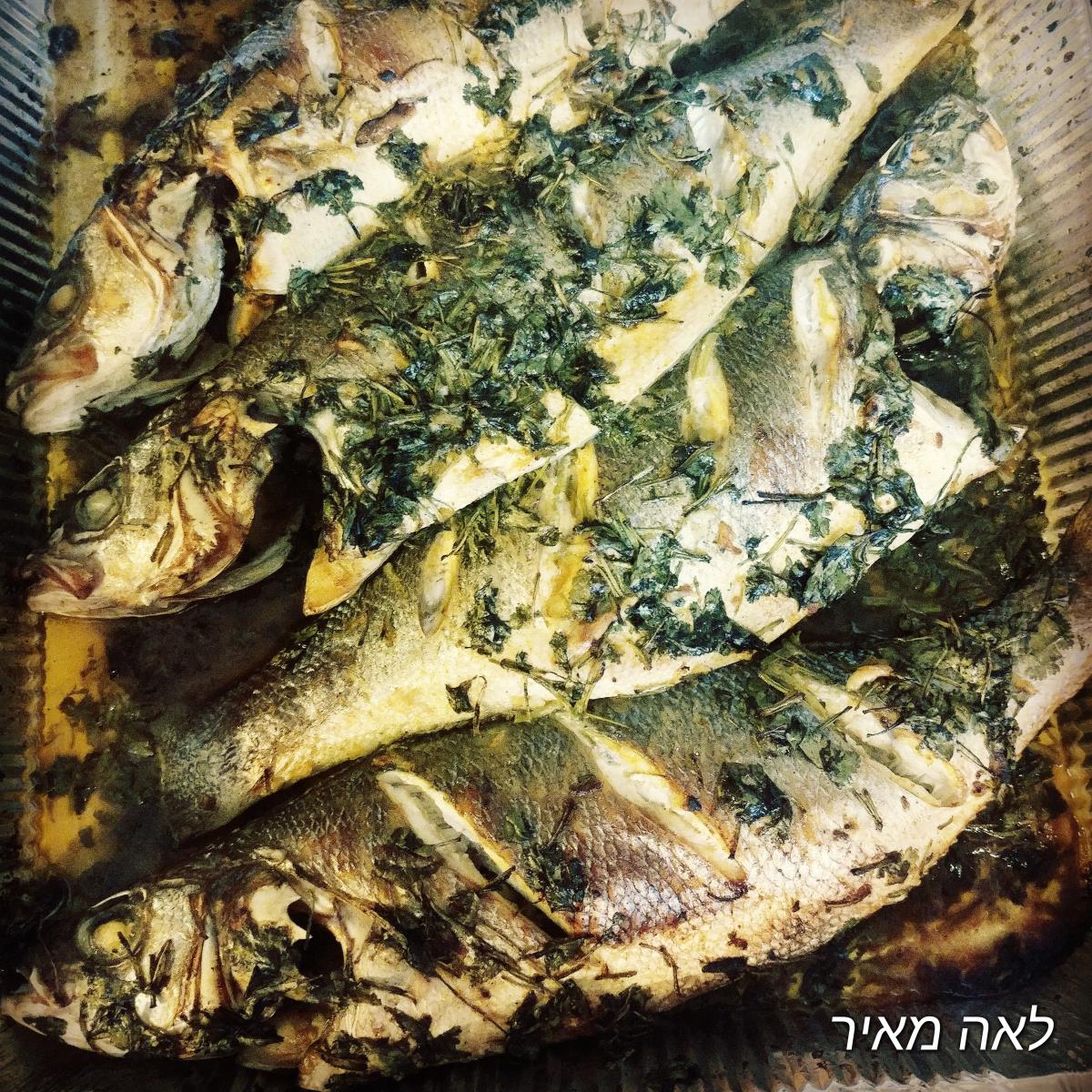 דגים בתנור כמו במסעדות פשוט מעדן של סבתא לאה 
