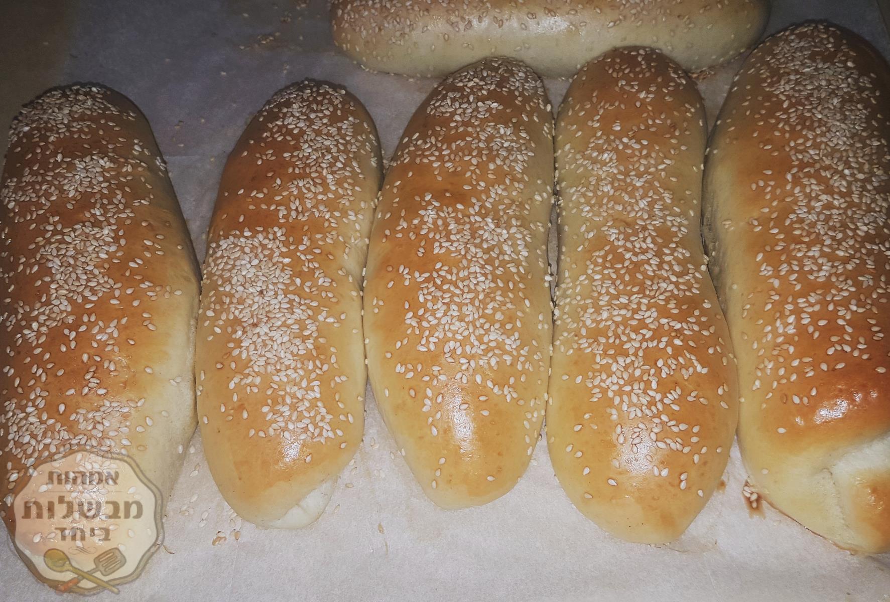 לחמניות 