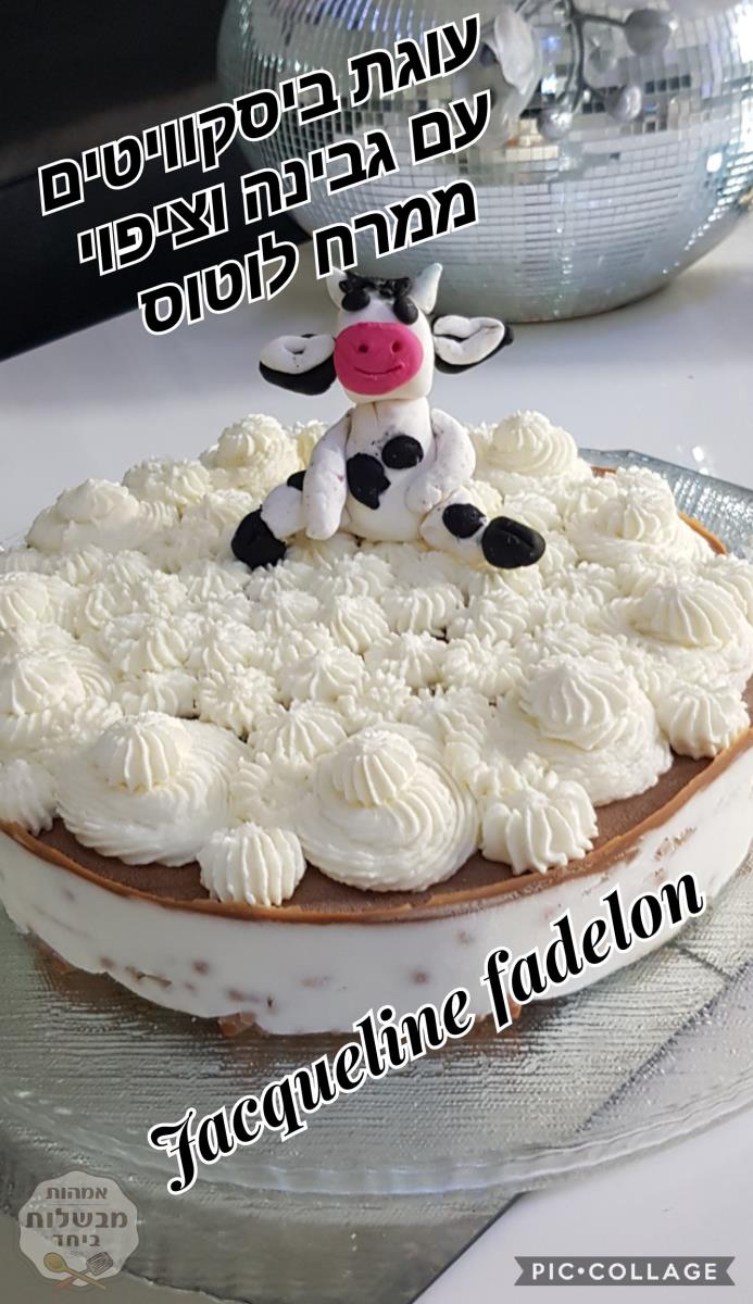 עוגת ביסקוויטי עם גבינה בציפוי ממרח לוטוס וזילוף קצפת