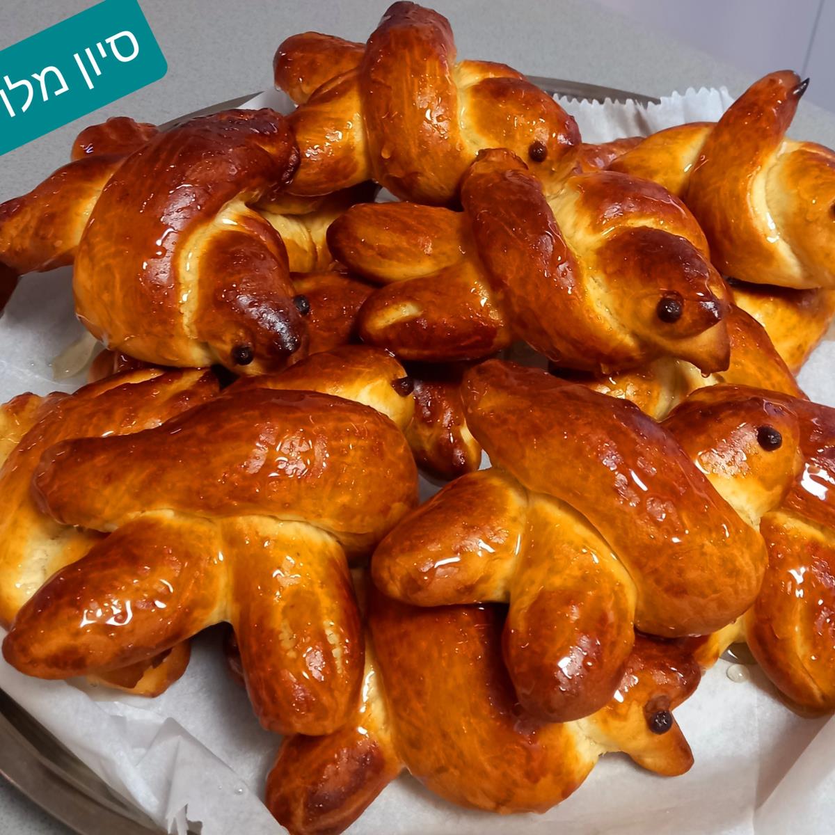 לחמניות ציפורים