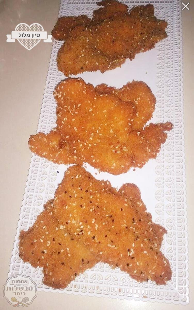 שניצלים של מסעדותת