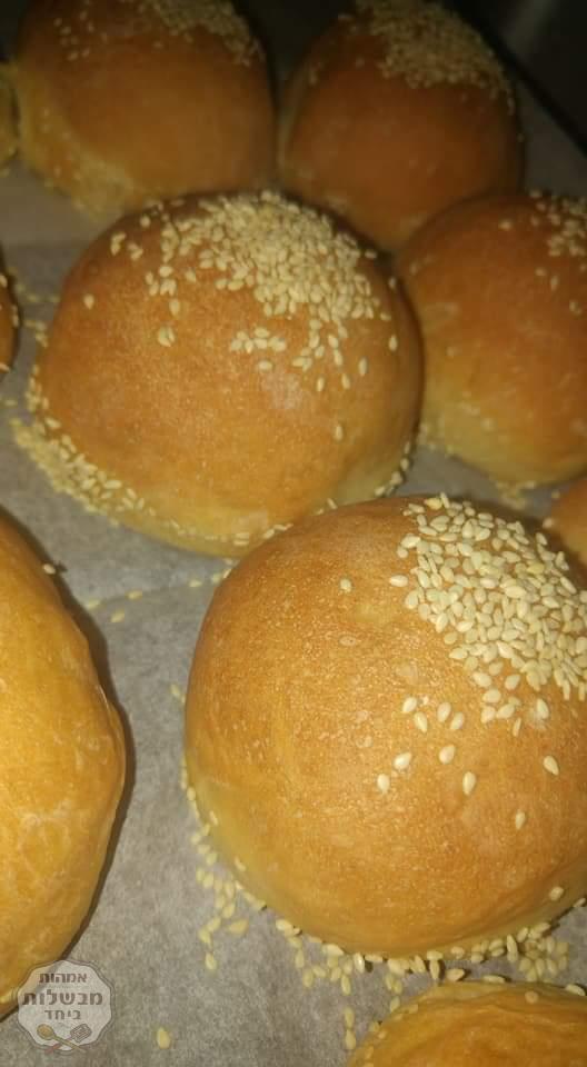 לחמניות בורגר