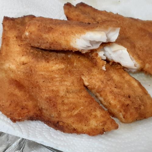 דגים מטוגנים