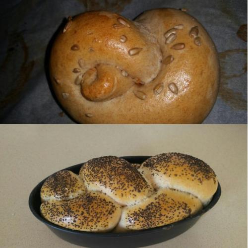 לחמניות/חלות חיטה מלאה ללא סוכר