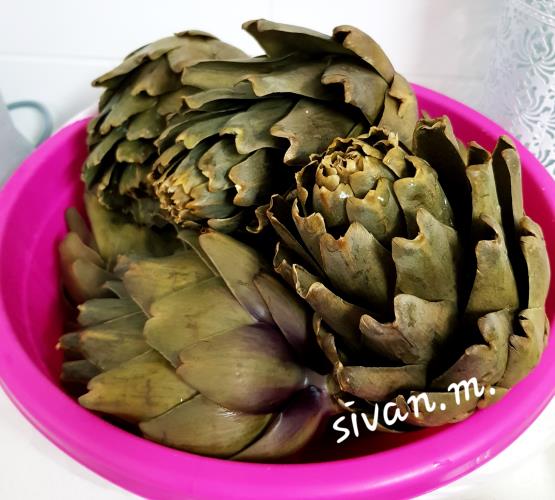 עי 