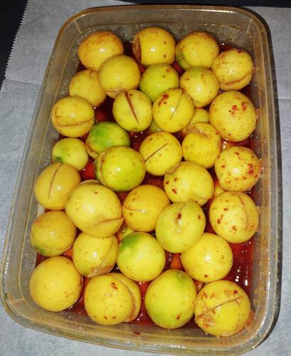 לימון ננסי כבוש