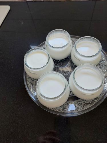 יוגורט ביתי