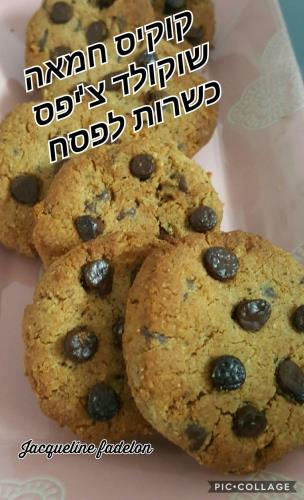 קוקיס חמאה שוקולד צ'יפס כשר לפסח