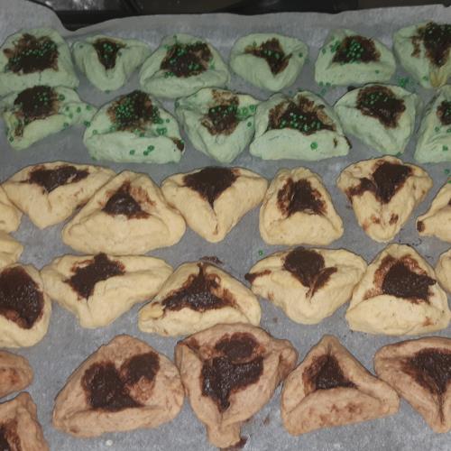 אזני המן צבעוניות 