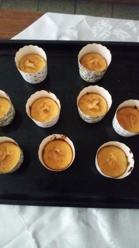 גבניות 