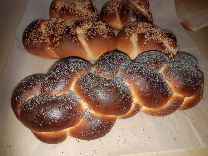 חלות לשבת