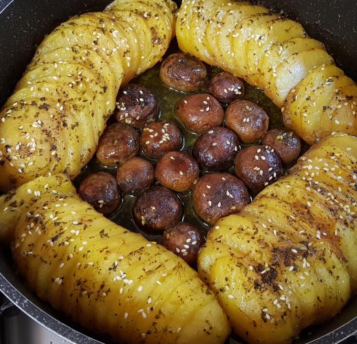 תפו"א מניפות ופטריות