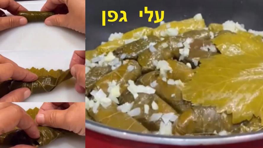 עלי גפן ממולאים בשר סמדר יפרח