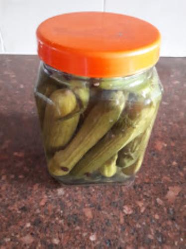 מלפפונים חמוצים