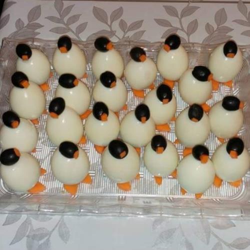 🐧ביצי פינגווינים🐧